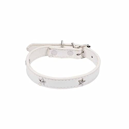 SONDEY Paris Prix Halsband für Hunde, Sterne, 35 cm, Weiß SONDEY Paris Prix Halsband für Hunde, Sterne, 35 cm, Weiß von SONDEY