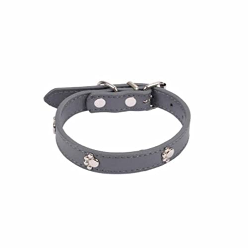 SONDEY Paris Prix Hundehalsband, Pfoten, 35 cm, Anthrazit SONDEY Paris Prix Hundehalsband, Pfoten, 35 cm, Anthrazit von SONDEY