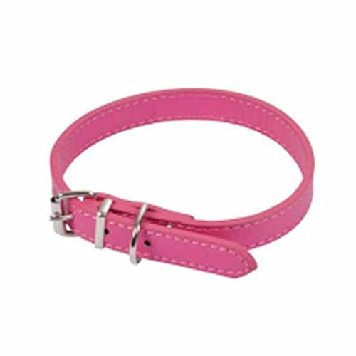 SONDEY Paris Prix Hundehalsband, einfarbig, 30 cm, Fuchsia SONDEY Paris Prix Hundehalsband, einfarbig, 30 cm, Fuchsia von SONDEY