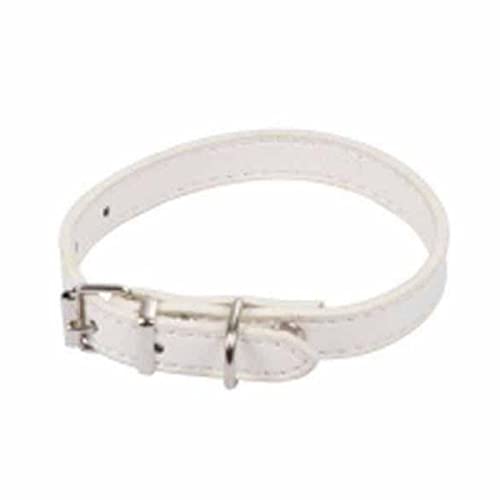 SONDEY Paris Prix Hundehalsband, einfarbig, 30 cm, Weiß SONDEY Paris Prix Hundehalsband, einfarbig, 30 cm, Weiß von SONDEY