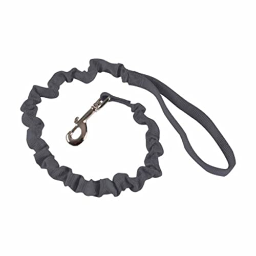 SONDEY Paris Prix Hundeleine, gegen Stöße und Schläge, 120 cm, Anthrazit SONDEY Paris Prix Hundeleine, gegen Stöße und Schläge, 120 cm, Anthrazit von SONDEY