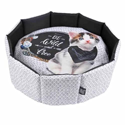 SONDEY Paris Prix Katzenbett, rund, 48 cm, Grau SONDEY Paris Prix Katzenbett, rund, 48 cm, Grau von SONDEY