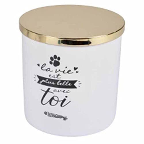 SONDEY Paris Prix Leckerlibox für Hunde & Katzen, Motiv: La Belle Vie, 14 cm, Weiß SONDEY Paris Prix Leckerlibox für Hunde & Katzen, Motiv: La Belle Vie, 14 cm, Weiß von SONDEY