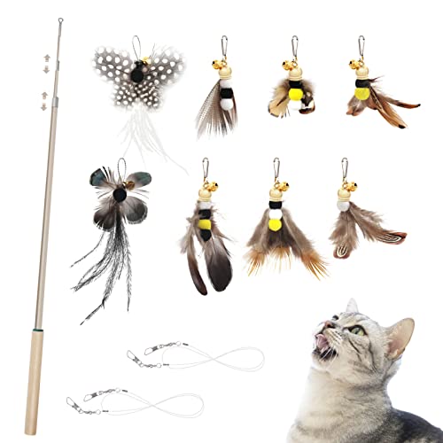 SONGWAY Interaktives Katzenspielzeug Feder - Katzenspielzeug Set mit 8 Insekt Natürliche Ersatzfedern mit Glocken, Katzenangel, Einziehbare Federstab Katze Spielzeug für Kätzchen und Katzen von SONGWAY