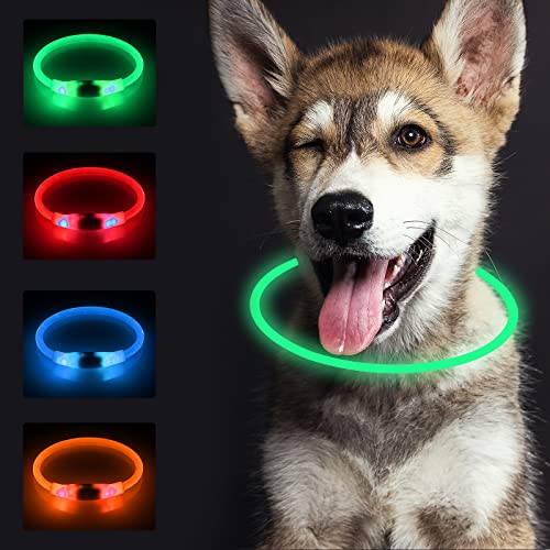 SONNIG LED Hundehalsband Leuchtend, Leuchthalsband Hund Aufladbar und Verstellbares mit 3 Lichtmodi, Sicher für Kleine, Mittlere und Große Hunde bei Nacht, Grün SONNIG LED Hundehalsband Leuchtend, Leuchthalsband Hund Aufladbar und Verstellbares mit 3 Lichtmodi, Sicher für Kleine, Mittlere und Große Hunde bei Nacht, Grün von SONNIG