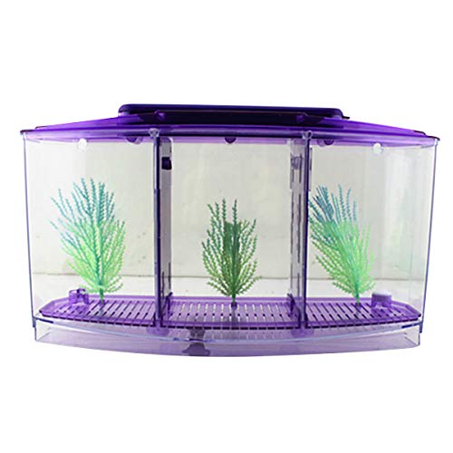 SOONHUA Betta Aquarium Aquarium Transparentes Acrylaquarium mit Kunststoff Künstliche Grünepflanze für Kleine Tropische Fische Ziergoldfische Betta Fische von SOONHUA