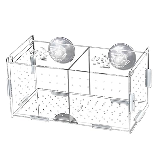 SOONHUA Fischzuchtbox Aquarium mit Saugnäpfen, Acryl Brutkasten Inkubator Tank Kinderzimmer Isolation Box für Babyfische Garnelen Betta Guppy Clownfish Platy von SOONHUA