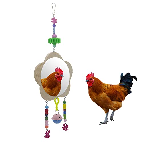 SOONHUA Hühnerspielzeug, hängender Spiegel mit buntem Huhnschaukelspielzeug, Holzspiegel für Küken, Hühner, Hahn, Papageien, Vogel von SOONHUA