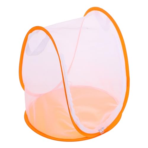 SOPOTUTU Faltbarer Mini Insektenkäfig Schmetterlingsgehege mit Netz Atmungsaktives Habitat zur Aufzucht und Beobachtung von Schmetterlingen und Libellen für Naturfreunde SOPOTUTU Faltbarer Mini Insektenkäfig Schmetterlingsgehege mit Netz Atmungsaktives Habitat zur Aufzucht und Beobachtung von Schmetterlingen und Libellen für Naturfreunde von SOPOTUTU