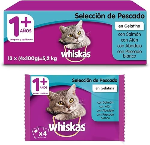 Mars ESPAÑA Taschen für Katzen ab 1 Jahr, Fischauswahl, [13 Stück] von SORINA