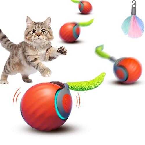 SORNEICDR Elektrisches Katzenspielzeug, multifunktional, interaktives Spielzeug für Katzen, 2 Betriebsarten, mit austauschbarem Schwanz (Orange) von SORNEICDR