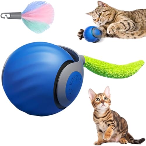 SORNEICDR Elektrisches Katzenspielzeug, multifunktional, interaktives Spielzeug für Katzen, 2 Betriebsarten, mit austauschbarem Schwanz (blau) von SORNEICDR