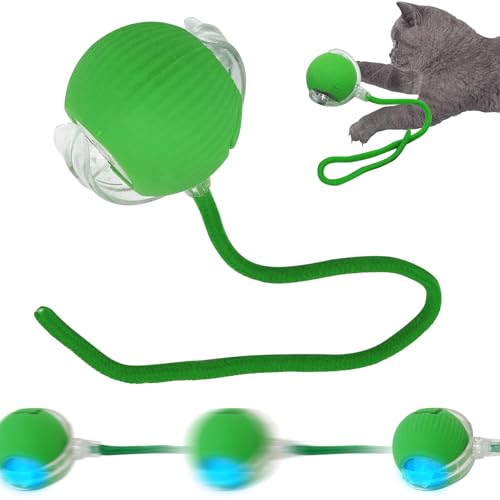 SORNEICDR Interaktiver Ball für Hunde, Spielzeug für Hunde, mit Seil, interaktiver 360-Grad-Spielzeugball, intelligenter automatischer Kugellagerball für Katzen und Hunde (grün) von SORNEICDR