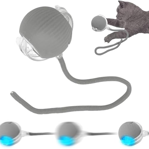 SORNEICDR Interaktiver Ball für Hunde, Spielzeug für Hunde, mit Seil, interaktiver Spielzeugball, 360 °, intelligenter automatischer Kugellagerball für Katzen und Hunde (grau) von SORNEICDR