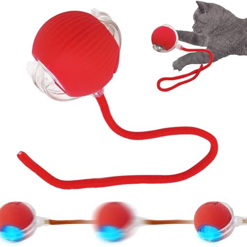 SORNEICDR Neuer interaktiver Ball für Katzen, interaktiver Spielzeugball, 360 °, intelligenter automatischer Kugellagerball für Katzen und Hunde (rot) SORNEICDR Neuer interaktiver Ball für Katzen, interaktiver Spielzeugball, 360 °, intelligenter automatischer Kugellagerball für Katzen und Hunde (rot) von SORNEICDR