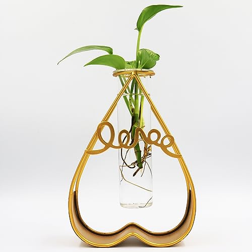 SOSFKIM Pflanzen-Terrarium mit Metallständer, Desktop-Luft-Pflanzgefäß, Glasvase für den Innenbereich, lebende Hydrokulturpflanzen, Zuhause, Garten, Büro, Dekoration (AX-Gold) von SOSFKIM