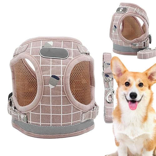 Hundegeschirr mit einfacher Kontrolle, weiches und bequemes Netzgewebe für Katzen, Hunde, Katzentrainingsprodukte für Spaziergänge, Reisen, Camping, Festivals, Paraden, Ausflüge Soydan Hundegeschirr mit einfacher Kontrolle, weiches und bequemes Netzgewebe für Katzen, Hunde, Katzentrainingsprodukte für Spaziergänge, Reisen, Camping, Festivals, Paraden, Ausflüge Soydan von SOYDAN
