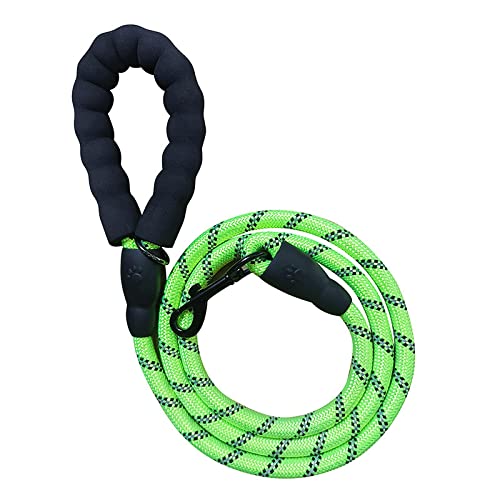 Hundeleine for Gassigehen, Hundekettentraining, mittelgroße und große Hundeleine, Dicke Anti-Würgegriff-Leine, Dunkelblau/643 (Color : Fluorescent Green) von SOYDAN