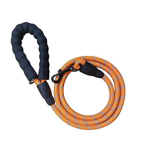 Hundeleine for Gassigehen, Hundekettentraining, mittelgroße und große Hundeleine, Dicke Anti-Würgegriff-Leine, Dunkelblau/643 (Color : Orange-red) von SOYDAN