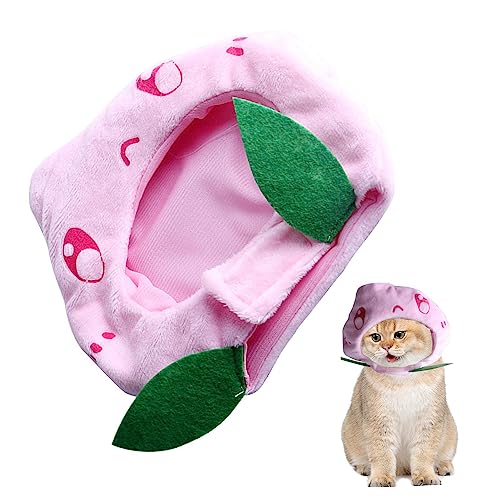 Katze, pfirsichfarbener Kopfschmuck, Hundehut, niedlich, pfirsichförmig, waschbar, langlebig, für Halloween-Party, Katze, Haustier, Welpen, Hund, Cosplay-Party Katze, pfirsichfarbener Kopfschmuck, Hundehut, niedlich, pfirsichförmig, waschbar, langlebig, für Halloween-Party, Katze, Haustier, Welpen, Hund, Cosplay-Party von SOYDAN