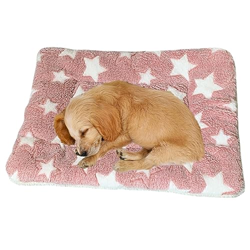 SOYDAN Gemütliche beruhigende Decke für Katzen | Kätzchendecken für Indoor-Kätzchen, Katzenkissen für Hundewelpen, Katzenbett für Nervosität und Stress, Welpendecken SOYDAN Gemütliche beruhigende Decke für Katzen | Kätzchendecken für Indoor-Kätzchen, Katzenkissen für Hundewelpen, Katzenbett für Nervosität und Stress, Welpendecken von SOYDAN