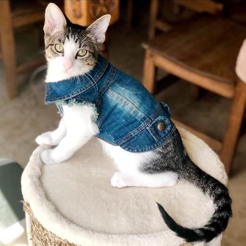Denim-Katzenkleidung für Katzen, Katzenmantel, Jeansjacke, lässige Outfits, Kleidung für Kätzchen, kleine Hunde, Chihuahua, Französische Bulldogge von Sozy