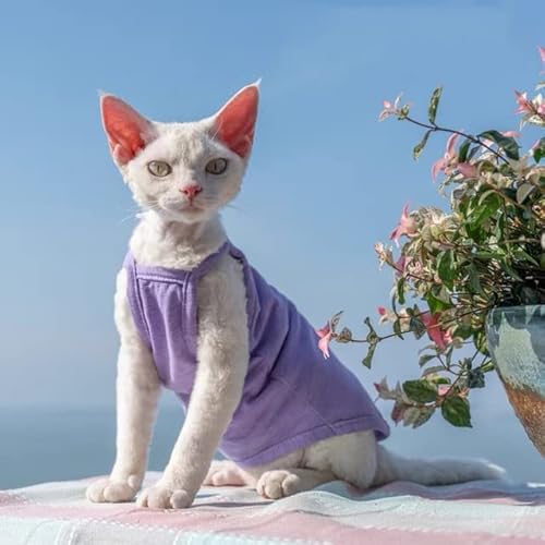 Summer Sphynx Haustier-Katzen-Kleidung, Baumwolle, Kätzchen-Weste, Shirt für Sphinx, atmungsaktiv, weiche Kleidung von Devon Rex von Sozy