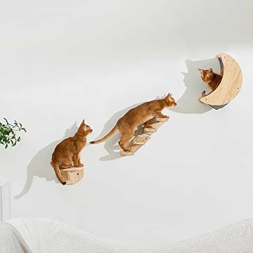 Katzen-Wandregale, montierte Möbel – Katzen-Kletterregal, Katzenwand, Spaziergehtreppe, Kätzchen, Massivholzbrücken, Schlafsitzstangen, Hängemattenbetten, Kratzbäume für Indoor-Katzen und Kätzchen von SPAKITCHCE