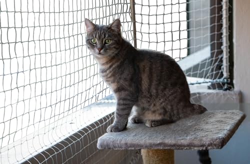 SPIRDS Katzennetz Für Balkon Katzen-Fensterschutz Balkonschutz Katzenschutz Schutznetz Für Katze Balkon Terrasse Fenster Katzenschutznetz Mit Befestigungsklammern 50 St Katzen-Zubehör Beige 3x2 m von SPIRDS