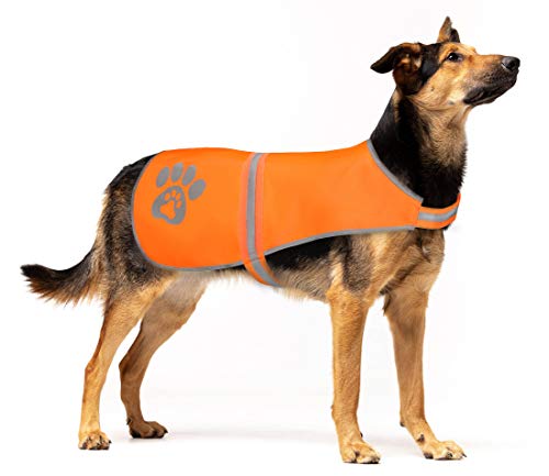SPOFLY Hundeweste, Orange Jagdweste Sicherheit Reflektierende Hundejacke Passend für kleine mittelgroße große Hunde, Hohe Sichtbarkeit und Sicherheit vor Jägerautos und Anderen (Orange, L) von SPOFLY