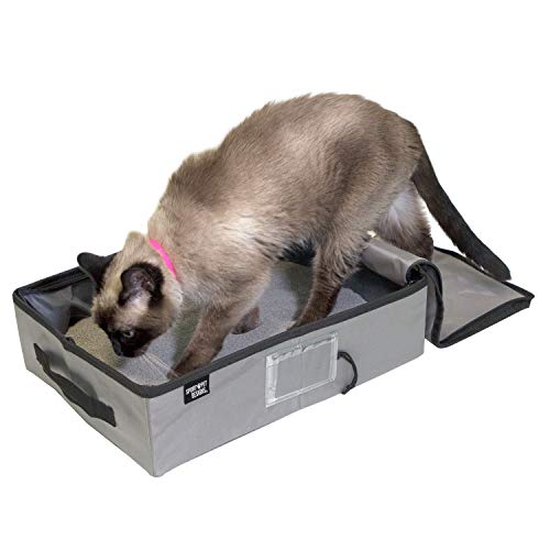 SportPet Designs Sportliche Katzentoilette für Haustiere, zusammenklappbar, Grau SportPet Designs Sportliche Katzentoilette für Haustiere, zusammenklappbar, Grau von SPORT PET