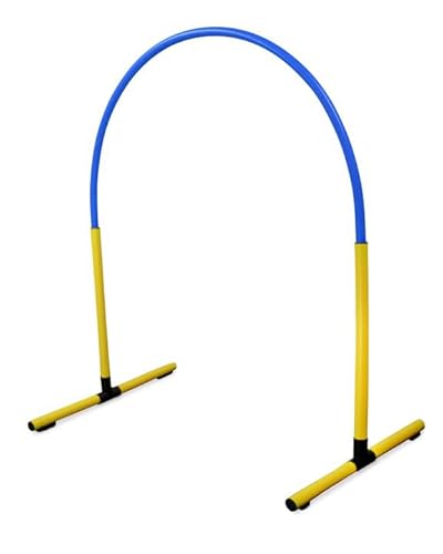 SPORTIKEL24 Superhund Hoopers Hoop – Kunststoff – Gelbe Basis mit Bögen in 6 Farben – VDH-konform, flexibel, wetterfest (Gelb/Blau) von SPORTIKEL24