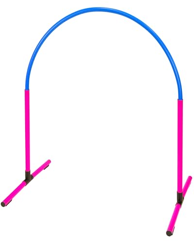 SPORTIKEL24 Superhund Hoopers Hoop – Kunststoff – Pinke Basis mit Bögen in 6 Farben – VDH-konform, flexibel, wetterfest (Pink/Blau) von SPORTIKEL24