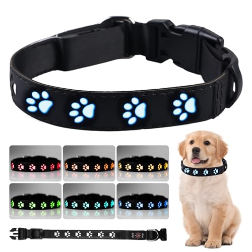 SPORWAY LED-Halsband für Hunde: Leuchtendes, Wasserdichtes, Aufladbares Hundehalsband mit 7 Farbwechseln, Einstellbar für Kleine und Mittlere Hunde, 30cm - 40cm SPORWAY LED-Halsband für Hunde: Leuchtendes, Wasserdichtes, Aufladbares Hundehalsband mit 7 Farbwechseln, Einstellbar für Kleine und Mittlere Hunde, 30cm - 40cm von SPORWAY