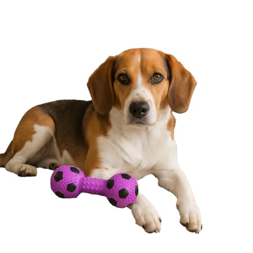 Ethical Pet ethischen gefüllt Latex Soccerball Hantel 6 Hundespielzeug Ethical Pet ethischen gefüllt Latex Soccerball Hantel 6 Hundespielzeug von SPOT