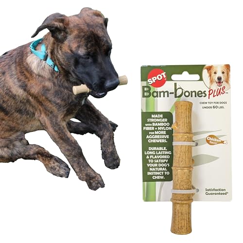 SPOT Bam-Bones Plus Bambusstab, Bambusfaser und Nylon, langlebig, für Aggressive Kauer, tolles Spielzeug für Erwachsene Hunde und Welpen unter 27 kg, splitterfrei, 13,3 cm, Hühnergeschmack SPOT Bam-Bones Plus Bambusstab, Bambusfaser und Nylon, langlebig, für Aggressive Kauer, tolles Spielzeug für Erwachsene Hunde und Welpen unter 27 kg, splitterfrei, 13,3 cm, Hühnergeschmack von SPOT