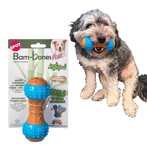 SPOT Bam-Bones Plus Giggles Hantel, langlebiges Kauspielzeug für mittelgroße Aggressive Kauer, Bambusfaser und Nylon, doppelte Textur, Massage-Gummi-Enden, Erdnussbutter-Geschmack, 14 cm SPOT Bam-Bones Plus Giggles Hantel, langlebiges Kauspielzeug für mittelgroße Aggressive Kauer, Bambusfaser und Nylon, doppelte Textur, Massage-Gummi-Enden, Erdnussbutter-Geschmack, 14 cm von SPOT