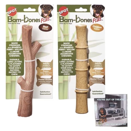 SPOT Bambones Bamboo Plus Bambusstab 2er-Pack Bundle - Easy Grip Durable Kauspielzeug für aggressive Kauer & Welpen - Eine nicht splitterende Alternative zu echtem Holz - Groß von SPOT