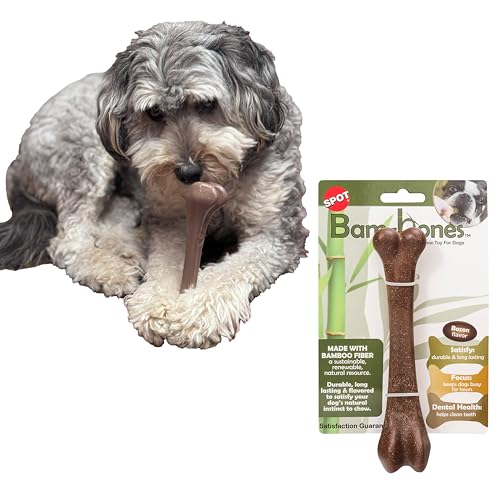 SPOT Ethical Pets 54319 Kauspielzeug aus Bambusknochen, Speck SPOT Ethical Pets 54319 Kauspielzeug aus Bambusknochen, Speck von SPOT