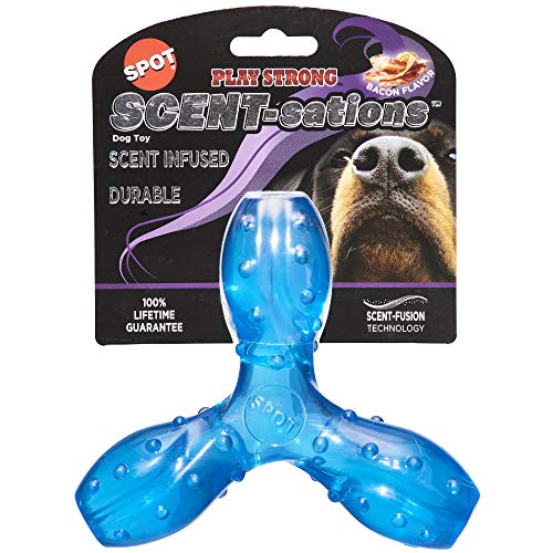 SPOT Play Hundespielzeug mit starkem Duft, Speck-Geschmack, 15,2 cm, für Aggressive Kauer SPOT Play Hundespielzeug mit starkem Duft, Speck-Geschmack, 15,2 cm, für Aggressive Kauer von SPOT