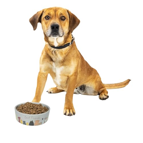 SPOT by Ethical Products – Schwerer Keramik-Hundenapf/Katzennapf/Katzennapf/Katzennapf, langlebig, für Futter und Wasser, spülmaschinenfest, Best Friends Hundenapf, 17,8 cm SPOT by Ethical Products – Schwerer Keramik-Hundenapf/Katzennapf/Katzennapf/Katzennapf, langlebig, für Futter und Wasser, spülmaschinenfest, Best Friends Hundenapf, 17,8 cm von SPOT
