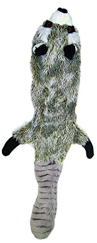 Skinneeez Spot Stuffless Hundespielzeug mit Quietscher | Plüsch Tauziehen Waschbär Quietschspielzeug für kleine und große Hunderassen | Klein Skinneeez Spot Stuffless Hundespielzeug mit Quietscher | Plüsch Tauziehen Waschbär Quietschspielzeug für kleine und große Hunderassen | Klein von SPOT