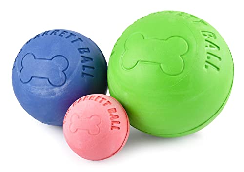 Spot Ethical Barrett Ball Virtually Indestructible Rubber Ball | Small Dog Toy von SPOT