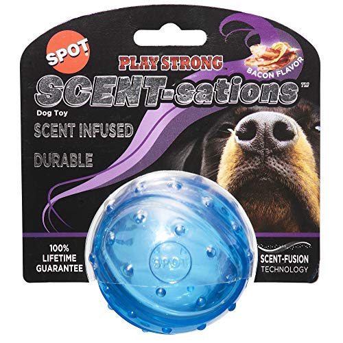 Spot Play Hundespielzeug mit starkem Duft, Speck-Geschmack, 8,3 cm, für Aggressive Kauer, Kauspielzeug für Aggressive Hunde, interaktives Hundespielzeug, Kauspielzeug für Aggressive Kauer von SPOT