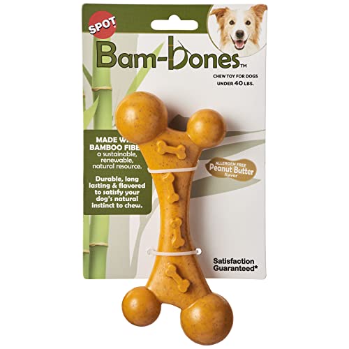 Spot by Ethical Products – Langlebiges Kauspielzeug für Hunde aus Bambus, einzigartige Formen für kleine und mittelgroße Hunde, allergenfrei, Erdnussbuttergeschmack, Kauspielzeug für aggressive Kauer, Spot by Ethical Products – Langlebiges Kauspielzeug für Hunde aus Bambus, einzigartige Formen für kleine und mittelgroße Hunde, allergenfrei, Erdnussbuttergeschmack, Kauspielzeug für aggressive Kauer, von SPOT