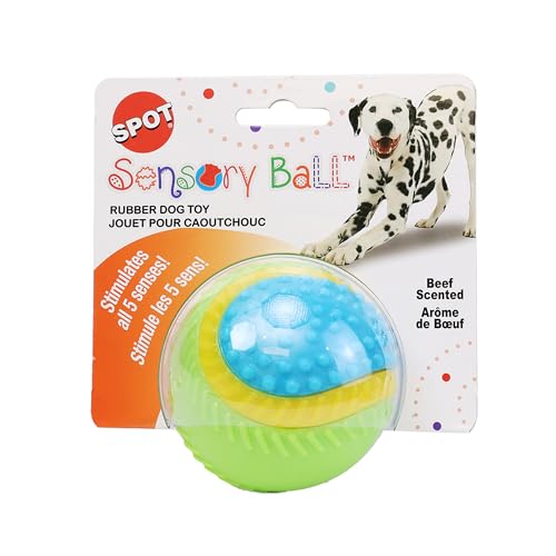 ethischen Sensory Ball Hund Spielzeug ethischen Sensory Ball Hund Spielzeug von SPOT