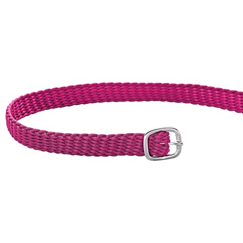 Sprenger Sporenriemen - 45 cm, Perlon pink, Schnalle Silber Sprenger Sporenriemen - 45 cm, Perlon pink, Schnalle Silber von Herm Sprenger