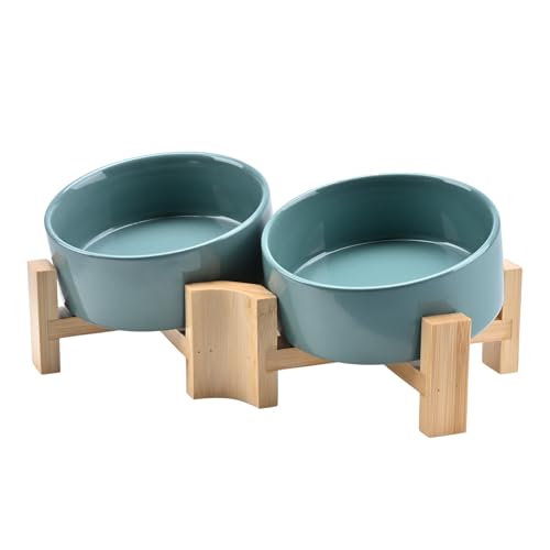 SPUNKYJUNKY 15° Kippbare Keramik Hundenapf mit Holzständer Futter und Wassernapf rutschfest für Hunde und Katzen mit Flachen Gesichtern Kleinen und Mittelgroßen Hunden (400ml × 2, Hellgrün) von SPUNKYJUNKY