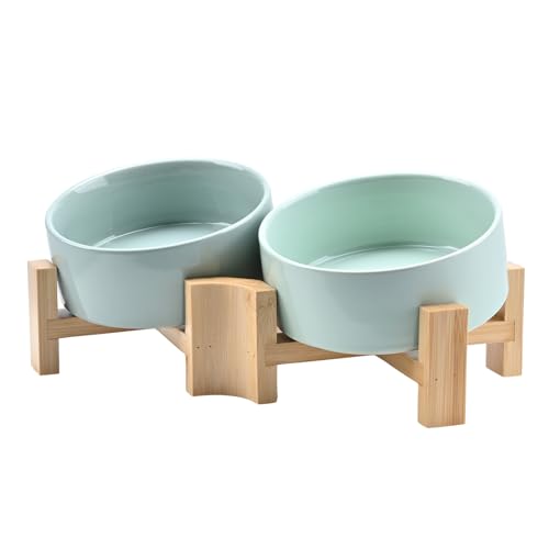 SPUNKYJUNKY 15° Kippbare Keramik Hundenapf mit Holzständer Futter und Wassernapf rutschfest für Hunde und Katzen mit Flachen Gesichtern Kleinen und Mittelgroßen Hunden (400ml × 2, Morandi Grün) von SPUNKYJUNKY