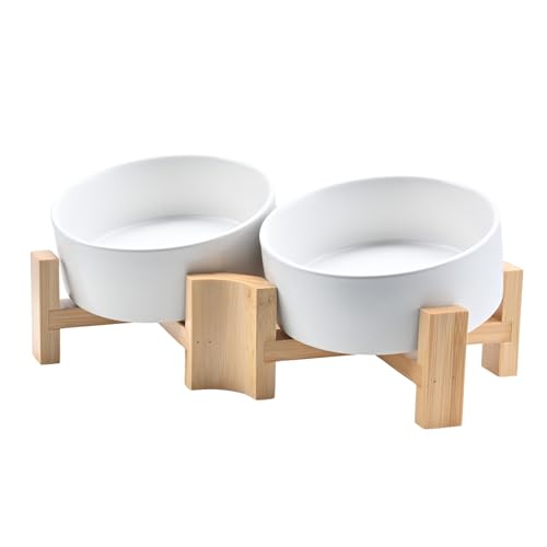 SPUNKYJUNKY 15° Kippbare Keramik Hundenapf mit Holzständer Futter und Wassernapf rutschfest für Hunde und Katzen mit Flachen Gesichtern Kleinen und Mittelgroßen Hunden (400ml × 2, Weiß) von SPUNKYJUNKY
